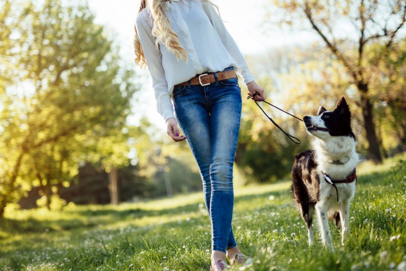 Adopter un chien... ou avoir un bébé Adopter un chien... ou avoir un bébé