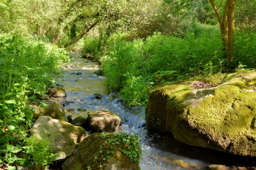 Préservez les points d'eau Préservez les points d'eau