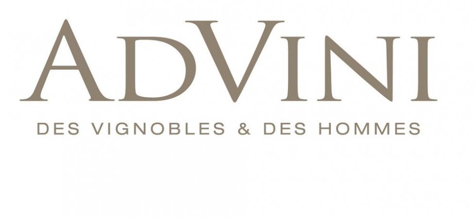 Advini : BVC s'adosse pour accélérer à l'international