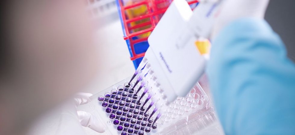 Valneva annonce le lancement de son projet d'offre globale et d'introduction sur le Nasdaq