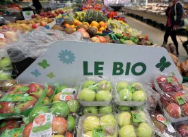 La France, bientôt leader européen du bio ?