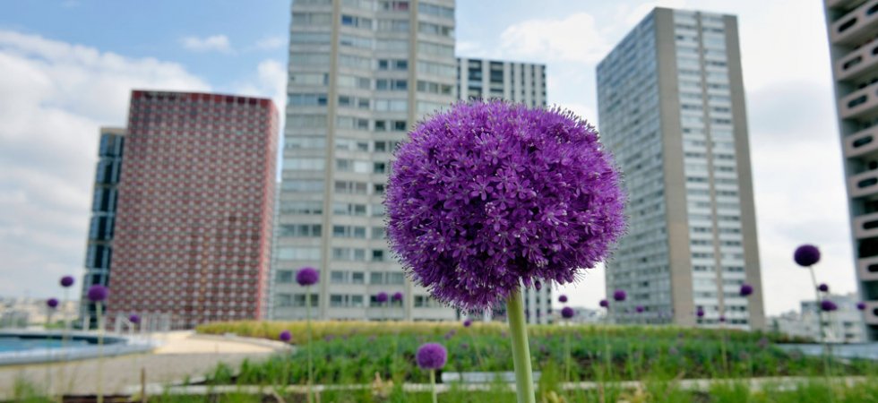 A quoi va ressembler le nouveau Diagnostic de performance énergétique (DPE) des logements ?