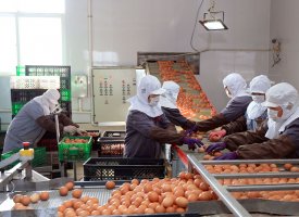 Coronavirus : l'OCDE revoit à 2,4% en 2020 sa prévision de croissance mondiale