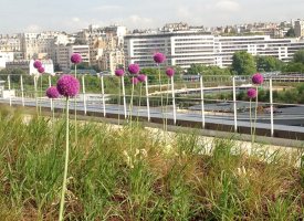 Lancement du permis d'expérimenter pour favoriser l'innovation dans la construction
