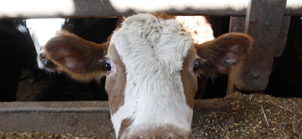Crédit Agricole poursuit un programme de financement avec la BEI