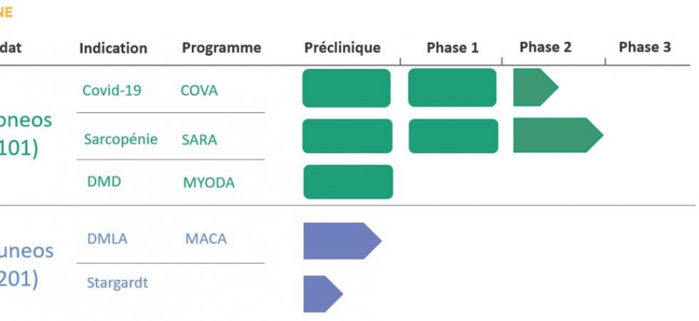 Biophytis : accuse 17 ME de pertes en 2020