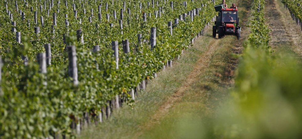 Amoéba signe un accord de développement et de commercialisation avec Philagro
