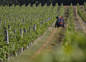 Près d'un agriculteur sur cinq n'a pas eu de salaire en 2017