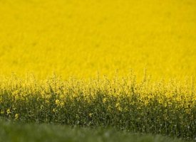 Pesticides : le plan du gouvernement tourne au fiasco