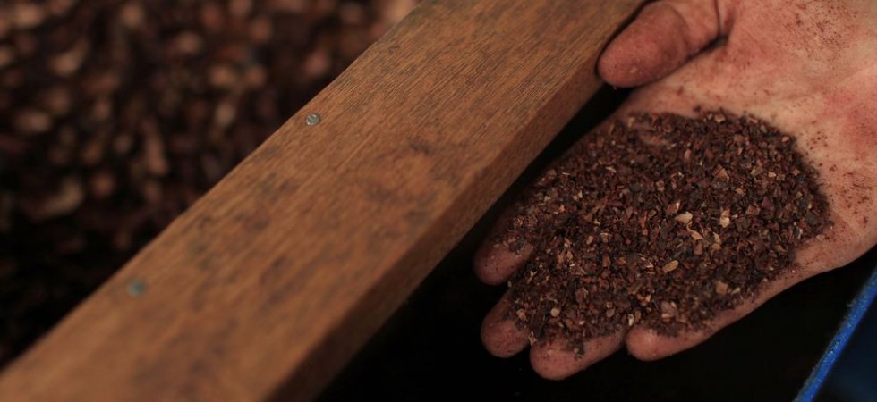 KKO International : succès de la certification Rainforest Alliance