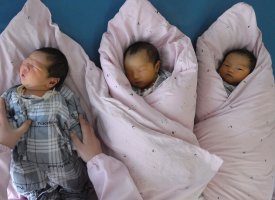 Le confinement n'a pas provoqué de baby boom en Europe