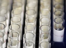 Genkyotex : un partenaire obtient une subvention
