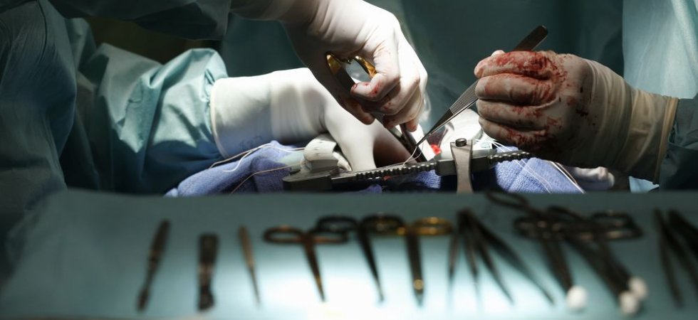 Medtech : la FDA homologue Rosa Spine aux Etats-Unis