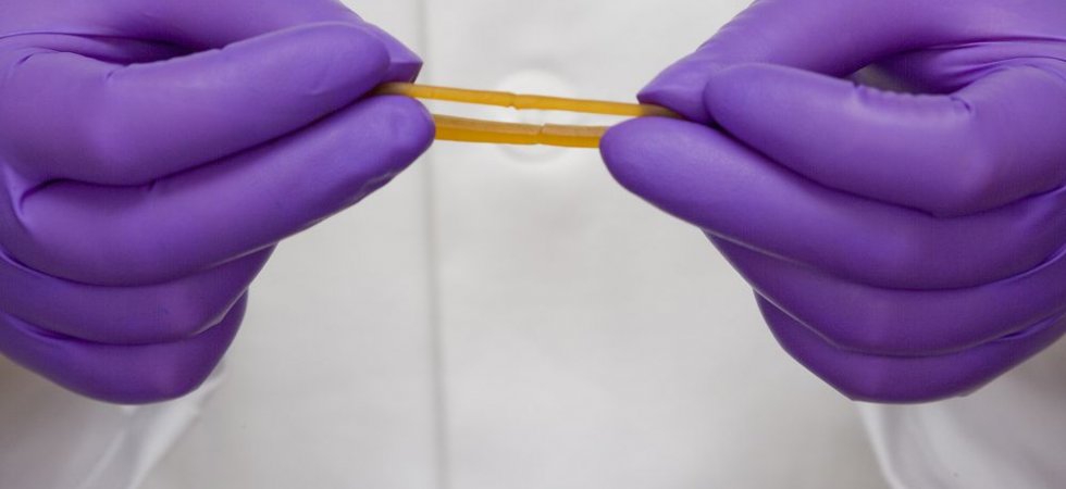 Arkema : nouvelle augmentation de capacités de fluoropolymères Kynar à Changshu