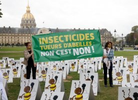 Selon une ONG, 10% des aliments végétaux contiennent des traces de néonicotinoïdes