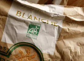 Plan de relance : 5 millions d'euros supplémentaires pour la filière bio