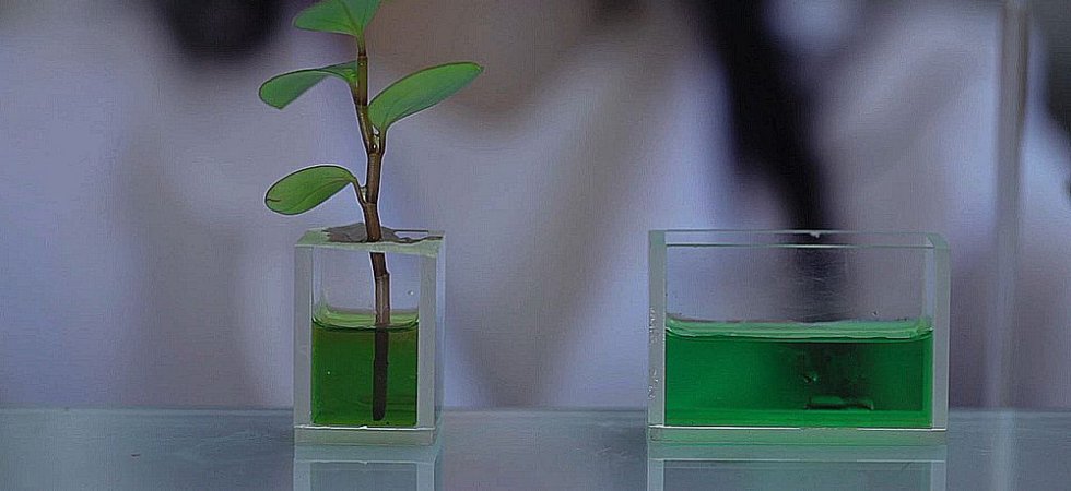Valbiotis : certification ISO 9001
