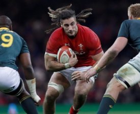 Pays de Galles : Opéré d'une épaule, Navidi manquera le Tournoi des 6 Nations