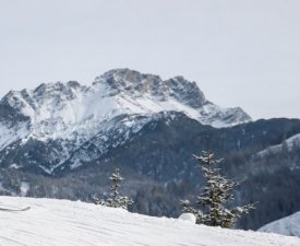 Biathlon - Coupe du Monde (F) : Revivez le relais de Nove Mesto en direct