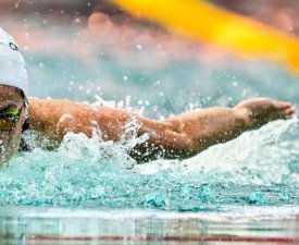 Natation : Après huit saisons, Béryl Gastaldello quitte Marseille pour les Etoiles 92