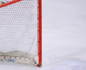 Hockey sur glace - Ligue Magnus (play-offs) : Mulhouse seule surprise des Matchs 1