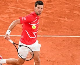 ATP - Belgrade : Djokovic et Berrettini dans le dernier carré