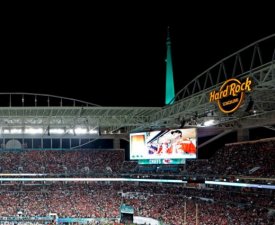 Foot US : Un chat miraculé après une chute incroyable !