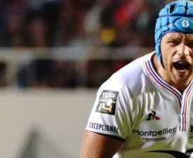 Montpellier : Mercer sur le départ à l'été 2023
