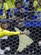 Coupe du monde 2026 (J1) : Suzuki, Nakamura, Verbruggen... Les tops/flops de Pays-Bas - Japon