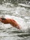 Natation - Chpts d'Europe (eau libre) : Deux Français sur le podium du 3 km knock-out