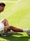 ATP : Alcaraz zappe la saison sur gazon !