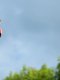Visma-Lease a Bike : Vingegaard stoppe sa saison