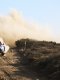 Rallye - WRC : Le calendrier 2027 dévoilé, avec deux retours !