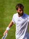 ATP - Queen's : Moutet devrait être (lourdement) sanctionné