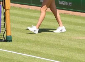 WTA - Bad Homburg : Les résultats et le tableau