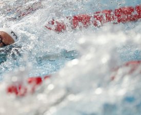 Natation : Le " Giant Open " créé afin de préparer Paris 2024... et les championnats d'Europe 2026