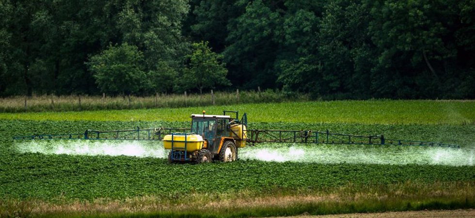 DÉCRYPTAGE. Pourquoi le glyphosate, le désherbant le plus utilisé en France, fait-il polémique ?