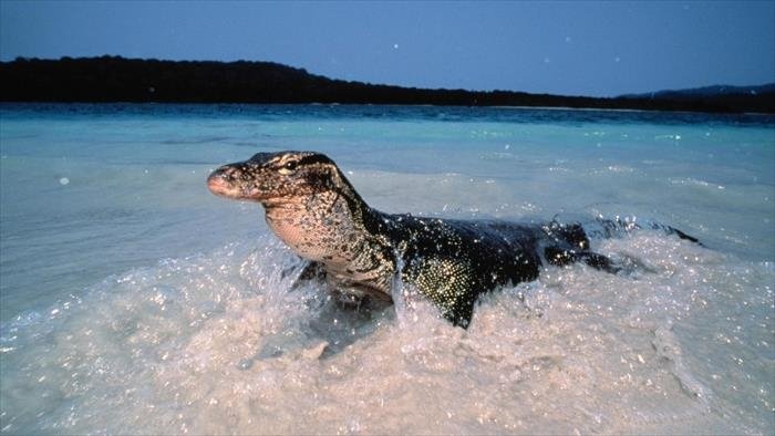 24 heures dans la nature