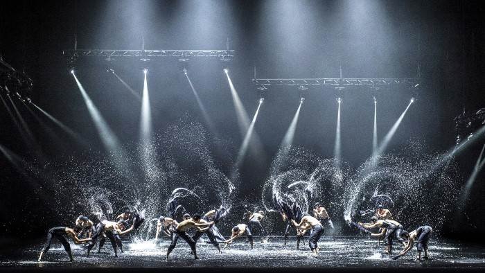 A Swan Lake