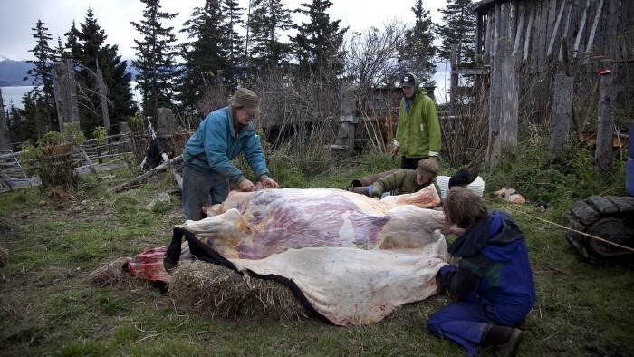 Alaska : terre des extrêmes