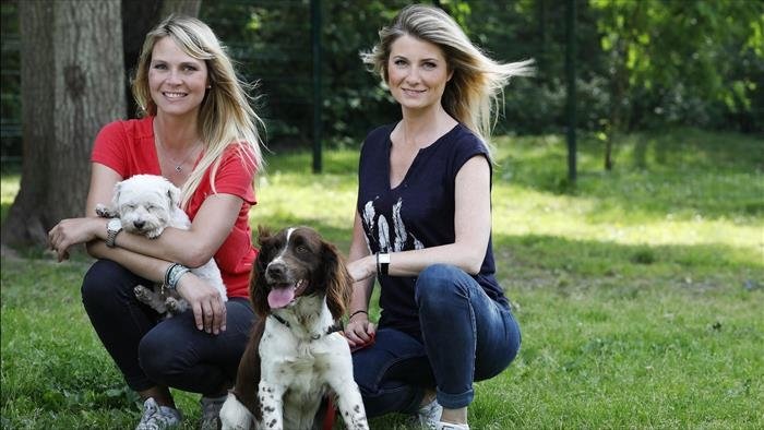 Animaux à adopter : nouvelle famille pour une nouvelle vie