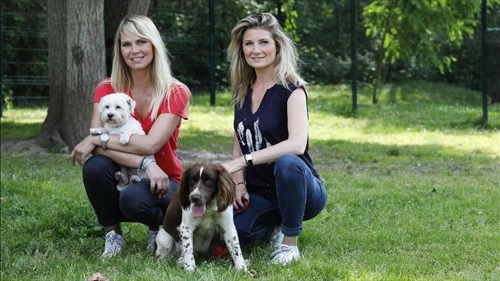 Animaux à adopter : nouvelle famille pour une nouvelle vie