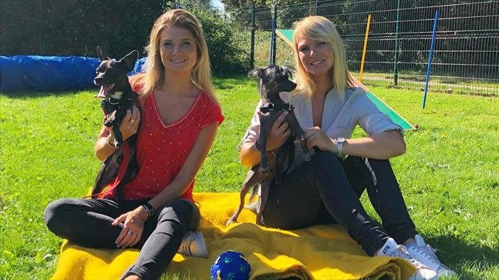 Animaux à adopter : nouvelle famille pour une nouvelle vie