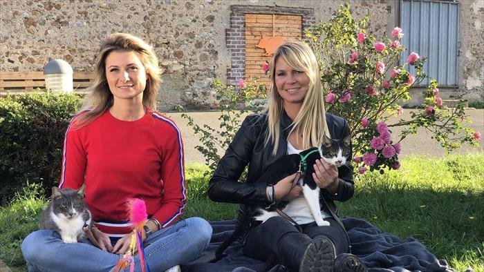 Animaux à adopter : nouvelle famille pour une nouvelle vie