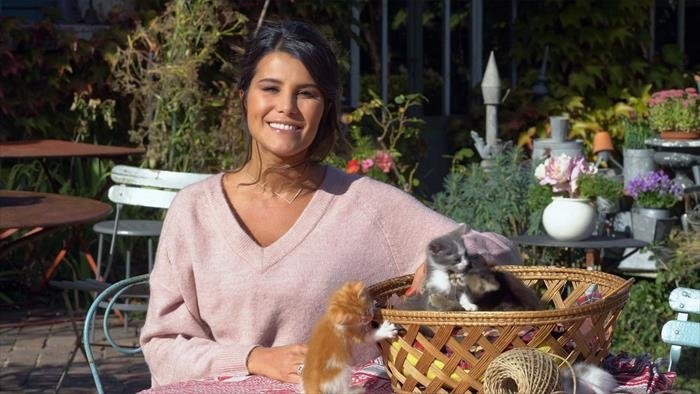 Bébés chats : les 100 premiers jours de leur vie