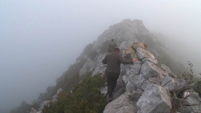 Brouillard, neige et sommets : Le territoire des isards