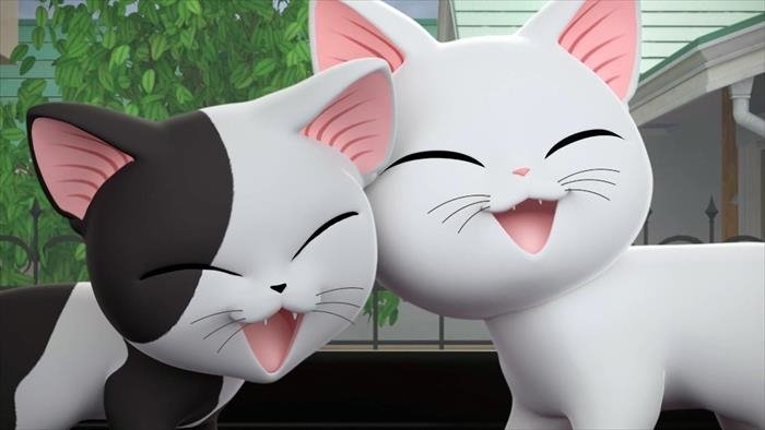 Chi mon chaton