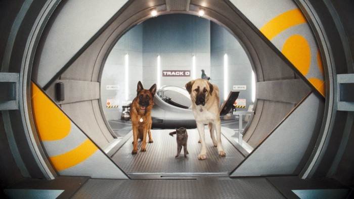 Comme chiens et chats : la revanche de Kitty Galore