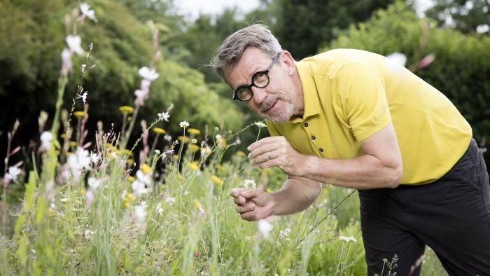 Comme une envie de jardins...