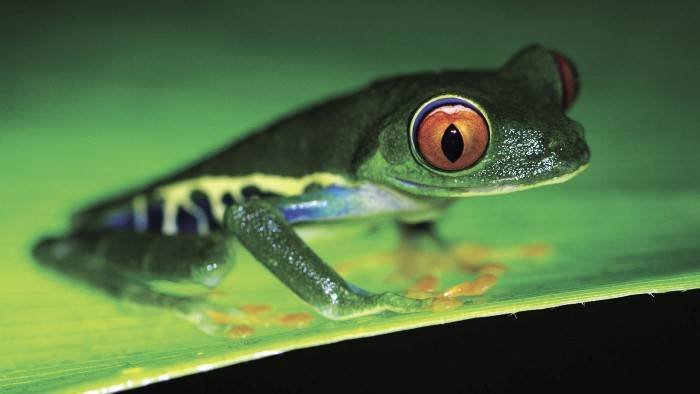 Costa Rica, une arche de la nature